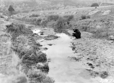 Fluke breeding stream, Molonglo Gorge?