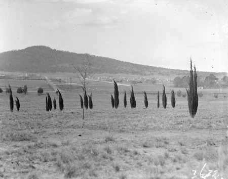 Ainslie Avenue and part of Reid from City Hill. Mount Ainslie in background.