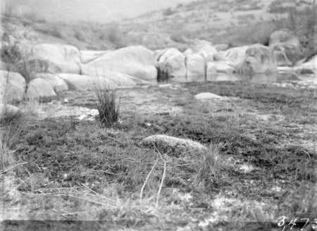 Fluke breeder stream, Molonglo Gorge?