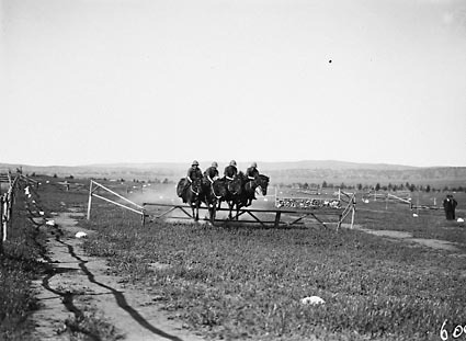 RMC [Royal Military College] Duntroon Sports Day, Formation horse jumping