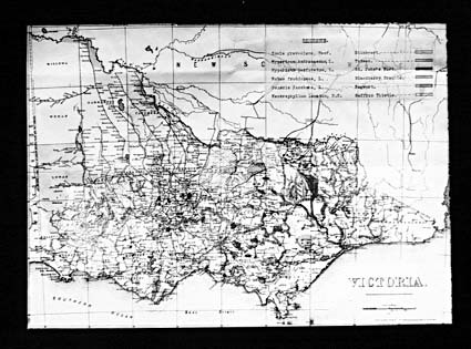Map of Victoria showing distribution of noxious weeds including St John's Wort