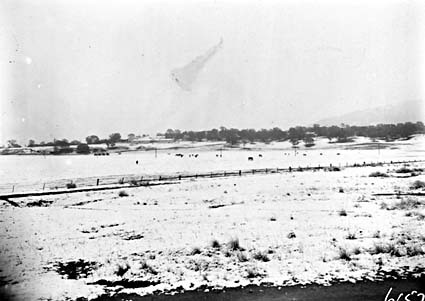 Heavy snow fall near Yarralumla Woolshed, grazing animals