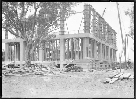 Australian Institute of Anatomy under construction. McCoy Circle, Acton.