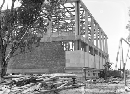 Australian Institute of Anatomy under construction. McCoy Circle, Acton.