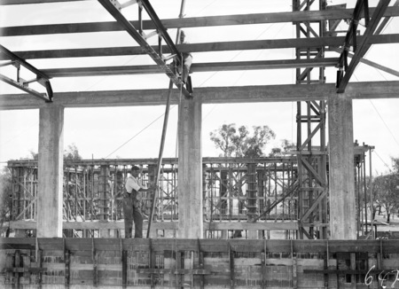Australian Institute of Anatomy under construction. McCoy Circle, Acton.