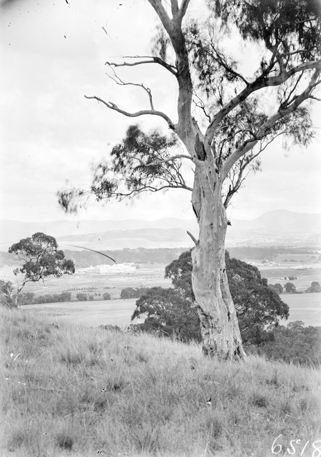 Parliament House from Mt. Pleasant.