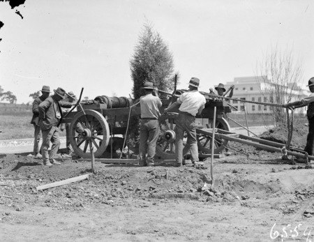 Advanced tree planting with mobile windlass.
