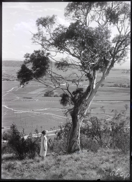 On Mt Pleasant looking to Red Hill.