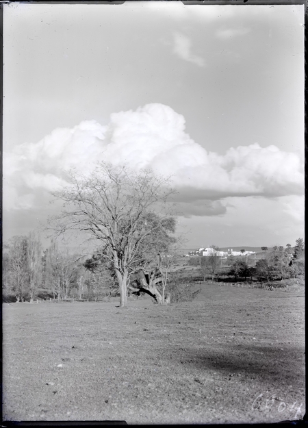 Distant view of Parliament House from the foothills of Black Mountain.