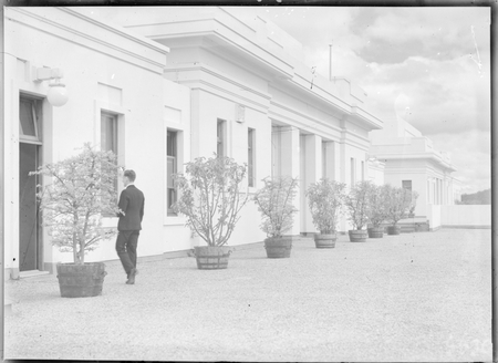 On the roof of Parliament House with rows of pot plants.