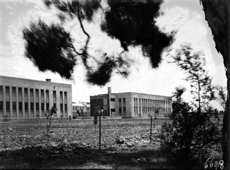 Buildings for Entomology and Plant Industry, for CSIR, Clunies Ross Street, Black Mountain.