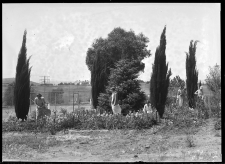 Group of ladies working in a garden at Kingston Tennis Courts.