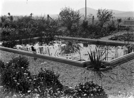 Water feature in grounds of the 'Dial House'. Moresby Street, Red Hill.