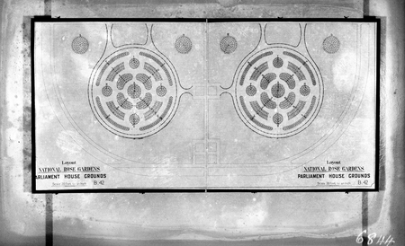 Layout of National Rose Gardens, Parliament House Grounds B 42.