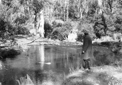 Crossing Condors Creek on the road to Bulls Head