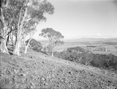 Part of Reid from Mt Ainslie. Parliament House on the left.
