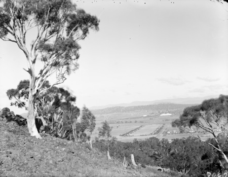 Anzac Parade and Parliament House from Mt Ainslie.