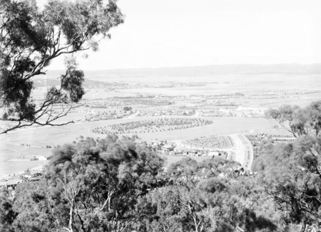 View from Red Hill over Manuka and Kingston to Duntroon. Collins Park in centre. Moresby Street to the right.