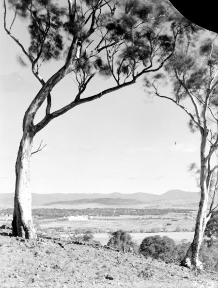 Parliament House, Hotel Canberra and Albert Hall from Mt Pleasant.