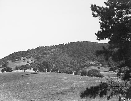View of Black Mountain from Canberra Community Hospital