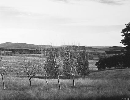 View of Acton race course from Canberra Community Hospital