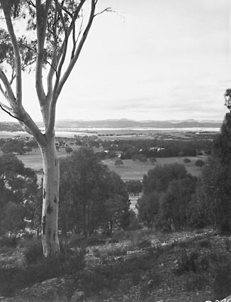 View from Acton to Barton. National Library on Kings Avenue on right