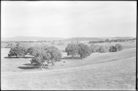 View from Acton to Red Hill across Acton Flats. Racecourse on left.