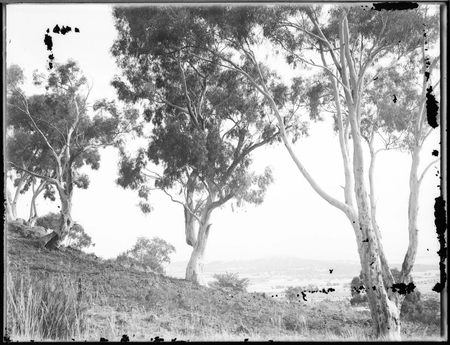 Parliament House from Mount Ainslie.