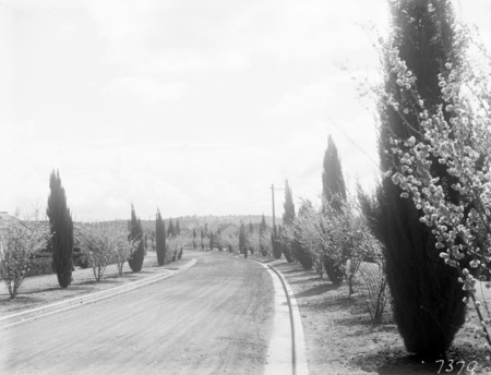 Unidentified street.