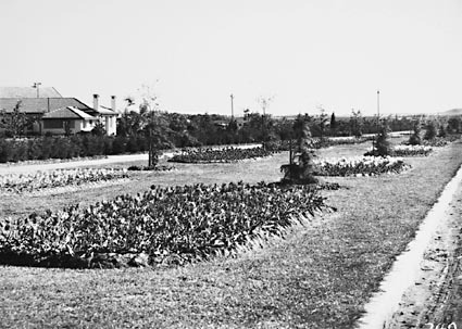 Unidentified street landscape with flower beds