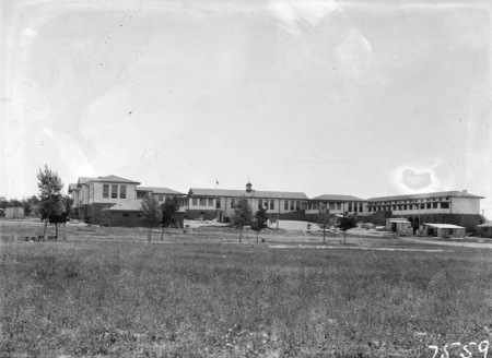 Telopea Park School from playing fields. New South Wales Crescent, Barton.