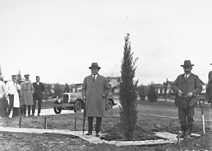 Visiting Secretary of State for Dominion Affairs with tree at Tree Planting Ceremony. Charles Weston  O.I.C Parks and Gardens on right