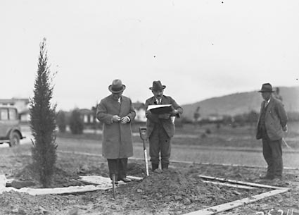 Visiting Secretary of State for Dominion Affairs with tree at Tree Planting Ceremony. Charles Weston  O.I.C Parks and Gardens on right
