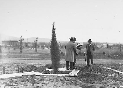 Visiting Secretary of State for Dominion Affairs with tree at Tree Planting Ceremony with Charles Weston O.I.C Parks and Gardens
