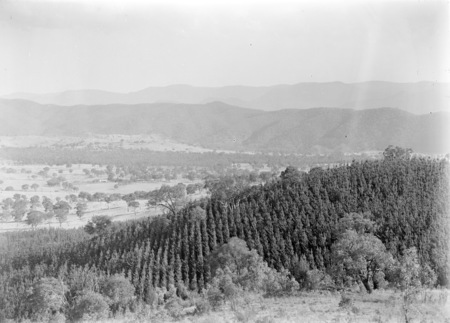 Mt Stromlo forest plantations looking south to Bullen Ridge.